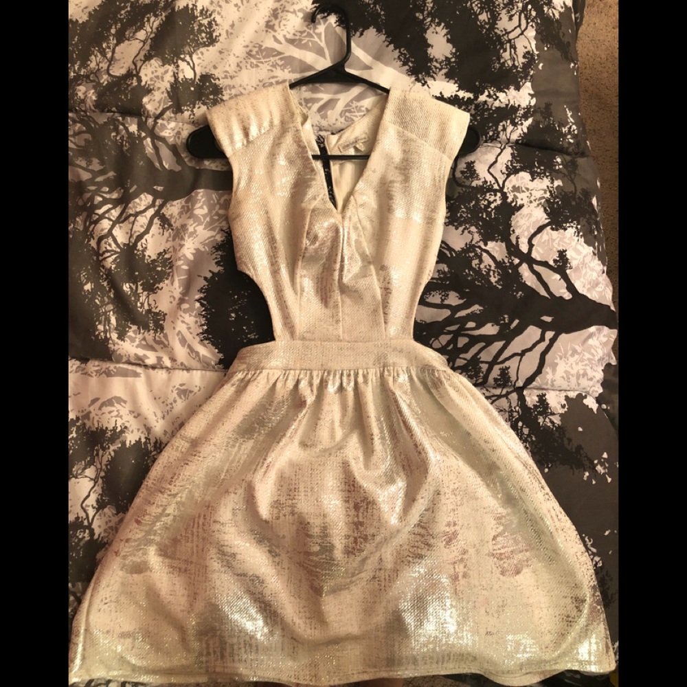 Women dress (silver and white)